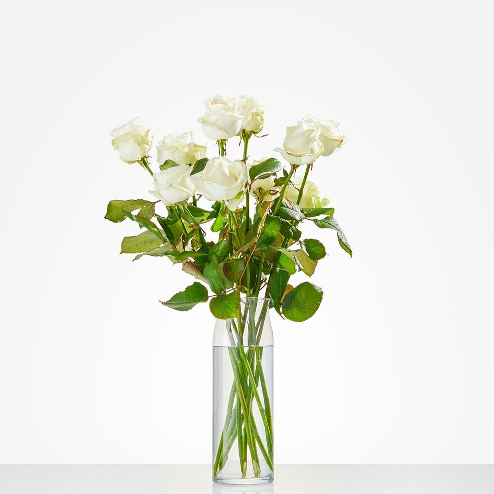 Witte rozen per stuk