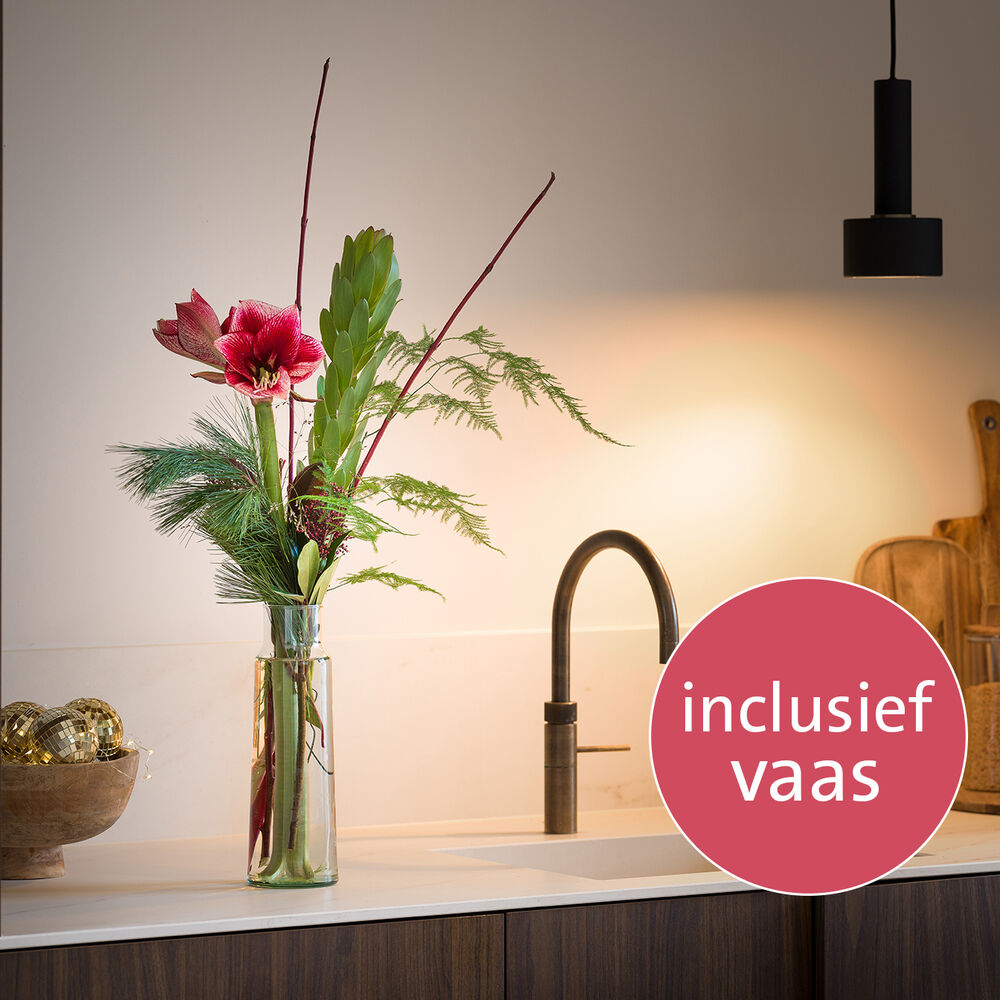 Amaryllis vase surprise