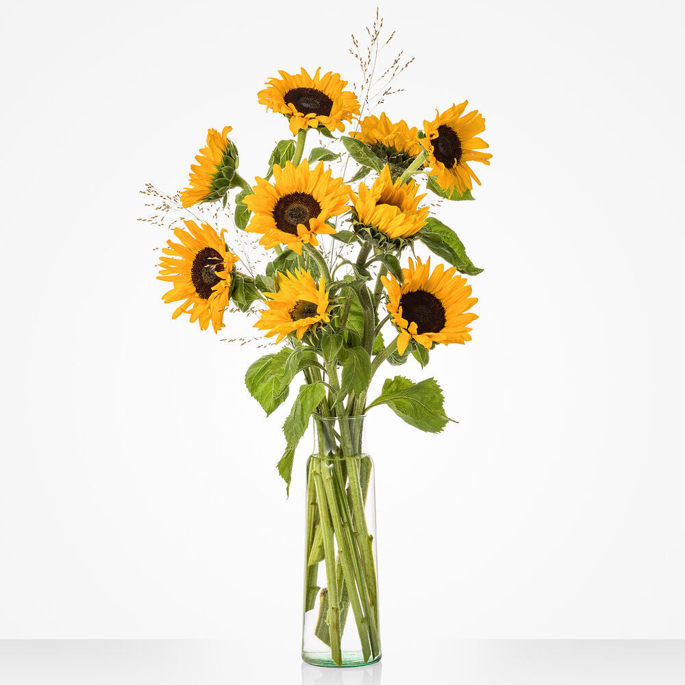 Zonnebloemen per stuk