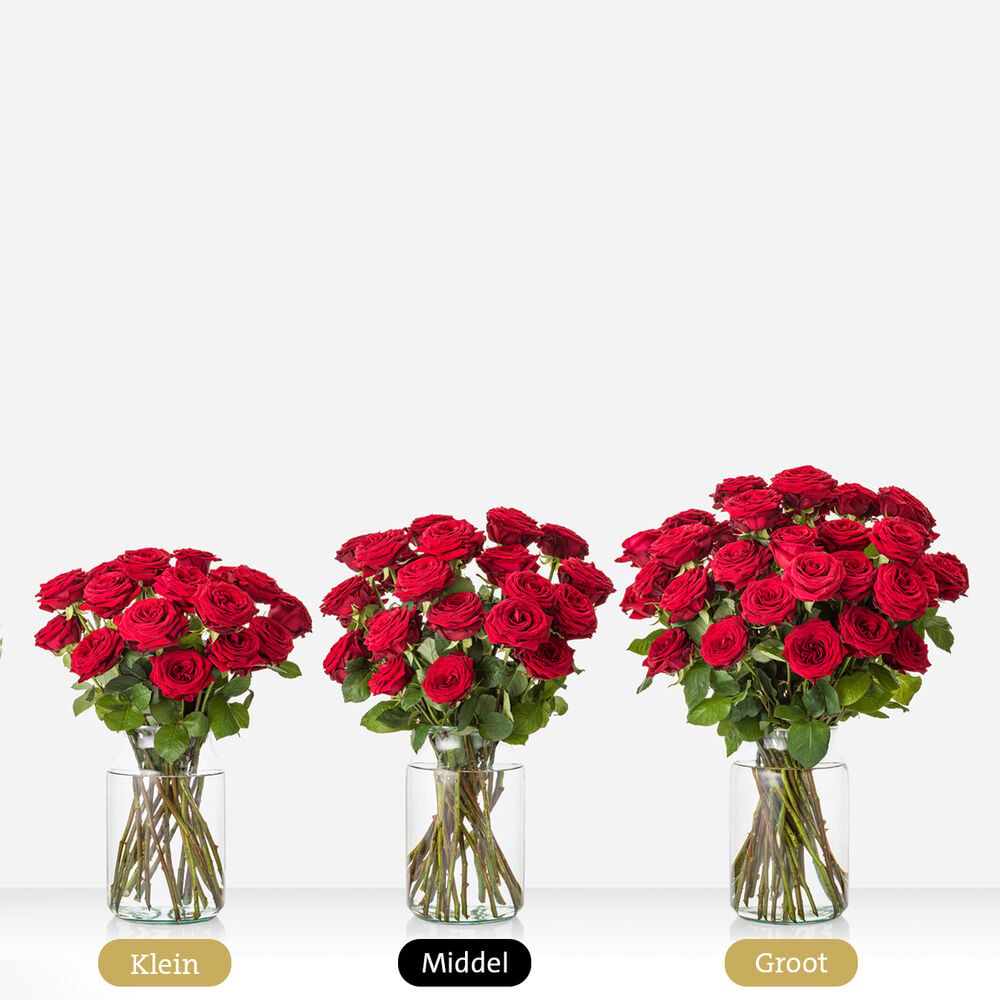 Luxurious red roses bouquet